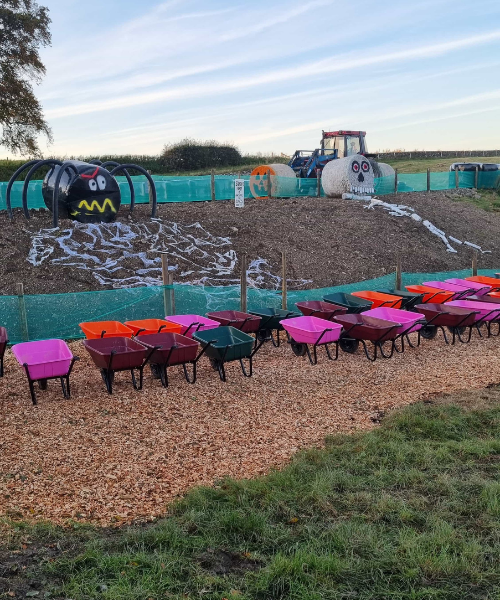 Stouslie Farm pumpkin patch 1 - resize and compressed