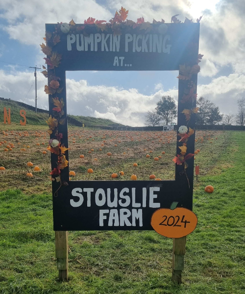 Stouslie Farm pumpkin patch 10 - resized and compressed