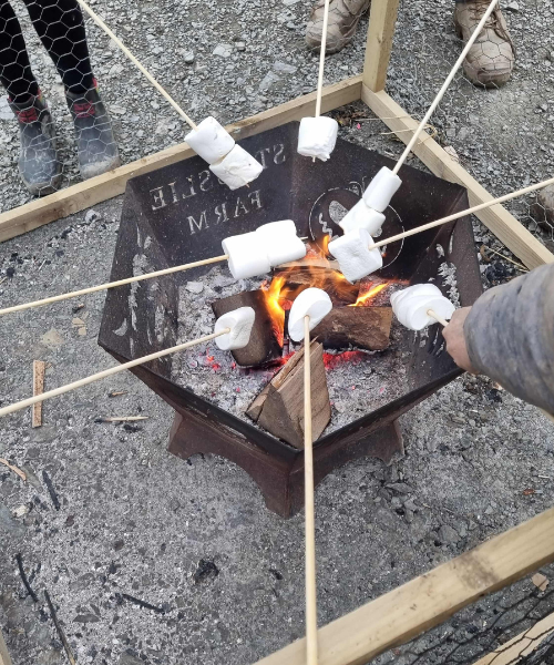 Stouslie Farm pumpkin patch 2 - resize and compressed