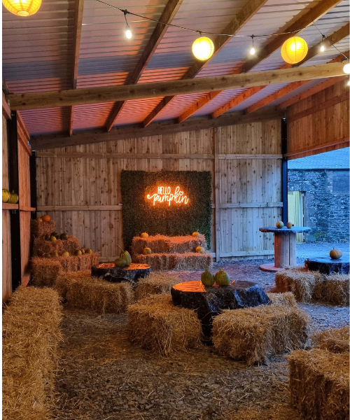 Stouslie Farm pumpkin patch 4 - resized and compressed