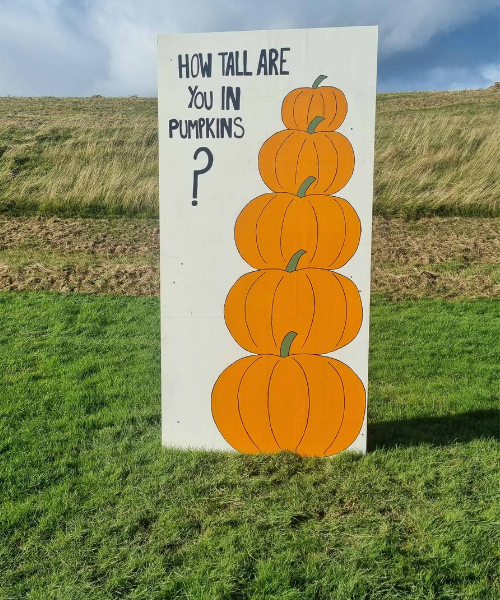 Stouslie Farm pumpkin patch 5 - resized and compressed