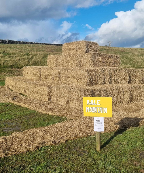 Stouslie Farm pumpkin patch 7 - resized and compressed
